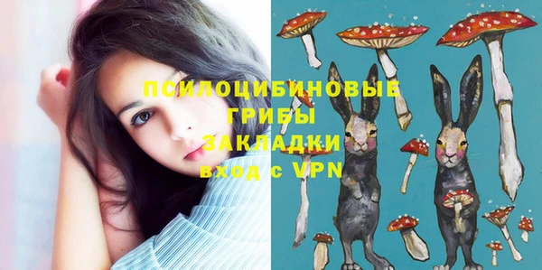 МДПВ Билибино