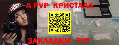 мет Кингисепп