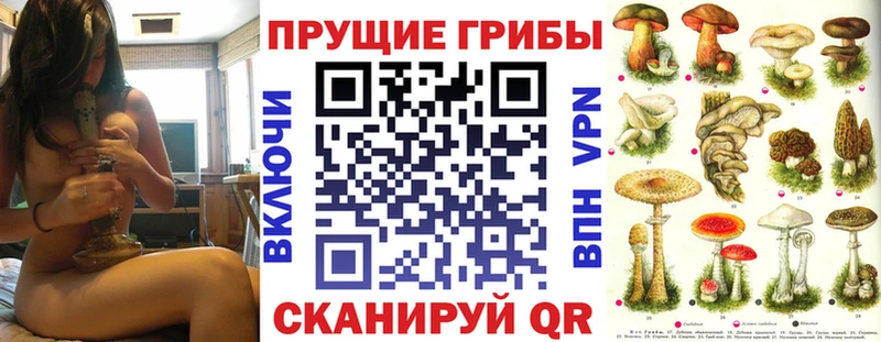 Псилоцибиновые грибы ЛСД  где купить   Кузнецк 