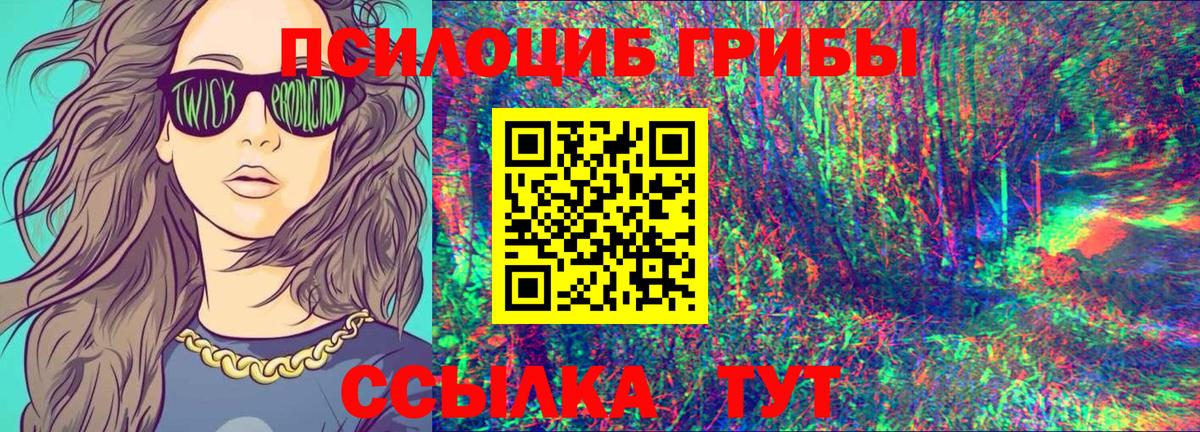 Псилоцибиновые грибы Psilocybine cubensis Кузнецк