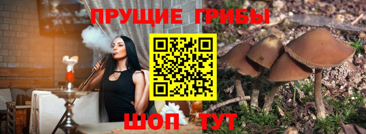 даркнет сайт  Вход с VPN  Кузнецк  Галлюциногенные грибы Magic Shrooms 